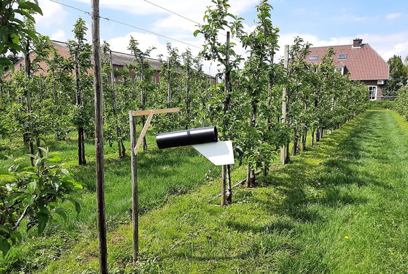 Foto val: Deze experimentele val is ontwikkeld door onderzoekers in Nieuw-Zeeland. Ze bestaat uit een grote koker die meedraait met de wind en is uitgerust met een fuik en een lokstof speciaal voor de bruingemarmerde schildwants.