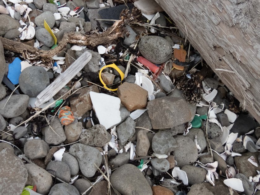 IJslands strand met verschillende types plastic zwerfvuil (Foto: Jan van Franeker).