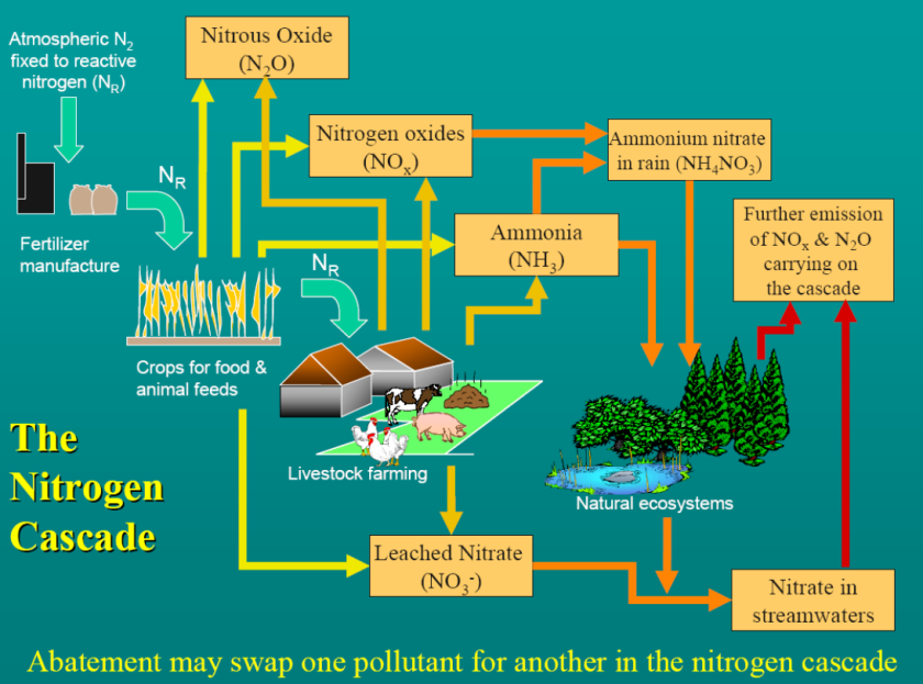 M-Krol_nitrogen_cascade.PNG